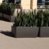 Tournesol Siteworks Downtown Collection Rectangle