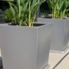 Tournesol Siteworks Urband Collection Square